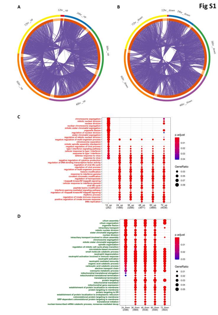 https://cdn.ncbi.nlm.nih.gov/pmc/blobs/1dfe/7683955/ebeaad0920b7/mmcfigs1_lrg.jpg