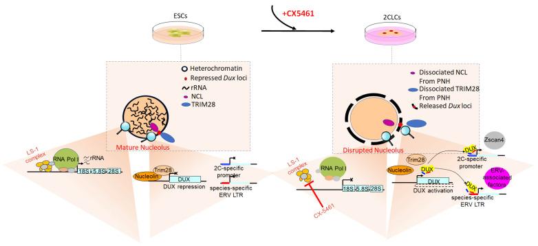 https://cdn.ncbi.nlm.nih.gov/pmc/blobs/1dfe/9687756/5dd33ee50ef9/biomolecules-12-01611-g001.jpg