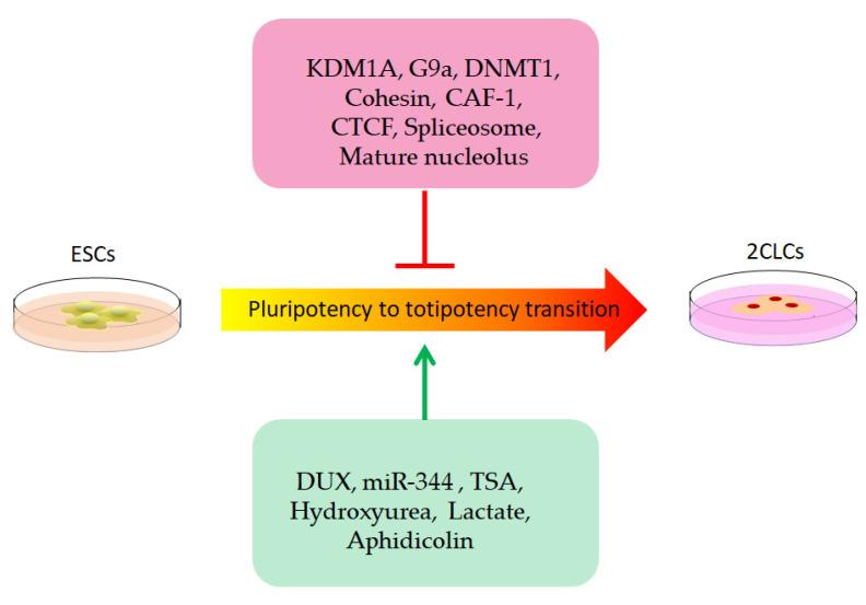 https://cdn.ncbi.nlm.nih.gov/pmc/blobs/1dfe/9687756/efb9e5b36d29/biomolecules-12-01611-g002.jpg