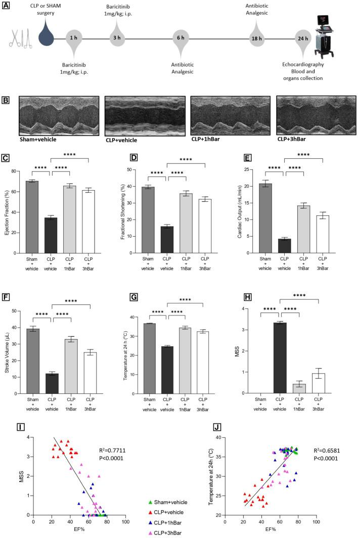https://cdn.ncbi.nlm.nih.gov/pmc/blobs/1e00/10536262/2b8635449943/fimmu-14-1223014-g002.jpg