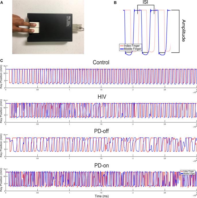 https://cdn.ncbi.nlm.nih.gov/pmc/blobs/1e00/7575770/a97399a378de/fnagi-12-539598-g0001.jpg