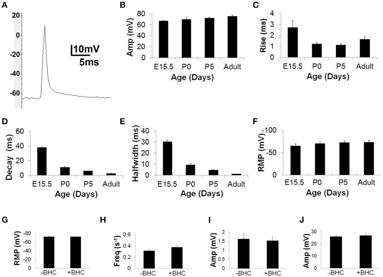 https://cdn.ncbi.nlm.nih.gov/pmc/blobs/1e01/5130989/09b7551fea4b/fncel-10-00276-g0001.jpg