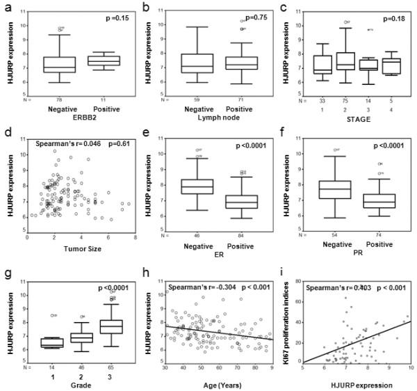 https://cdn.ncbi.nlm.nih.gov/pmc/blobs/1e02/2879562/8f712653c920/bcr2487-2.jpg