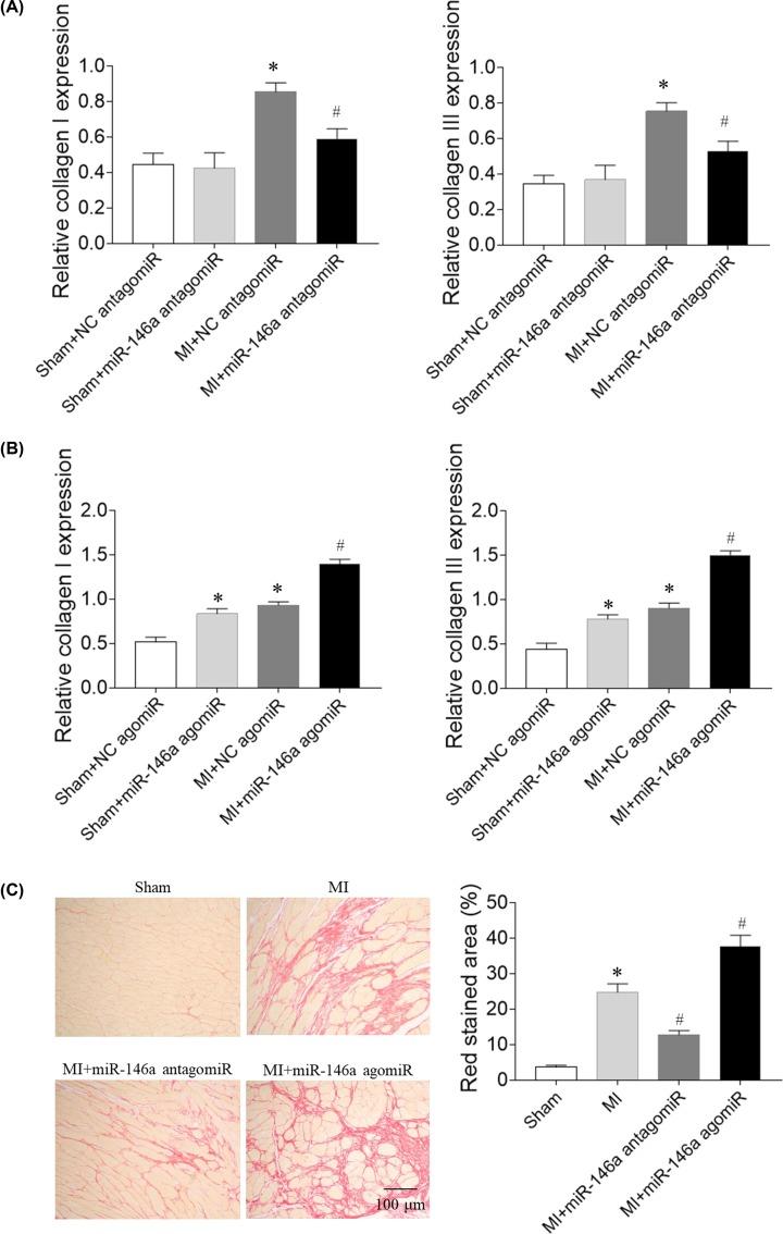 https://cdn.ncbi.nlm.nih.gov/pmc/blobs/1e02/6928527/6307043b2d5c/bsr-39-bsr20191732-g4.jpg