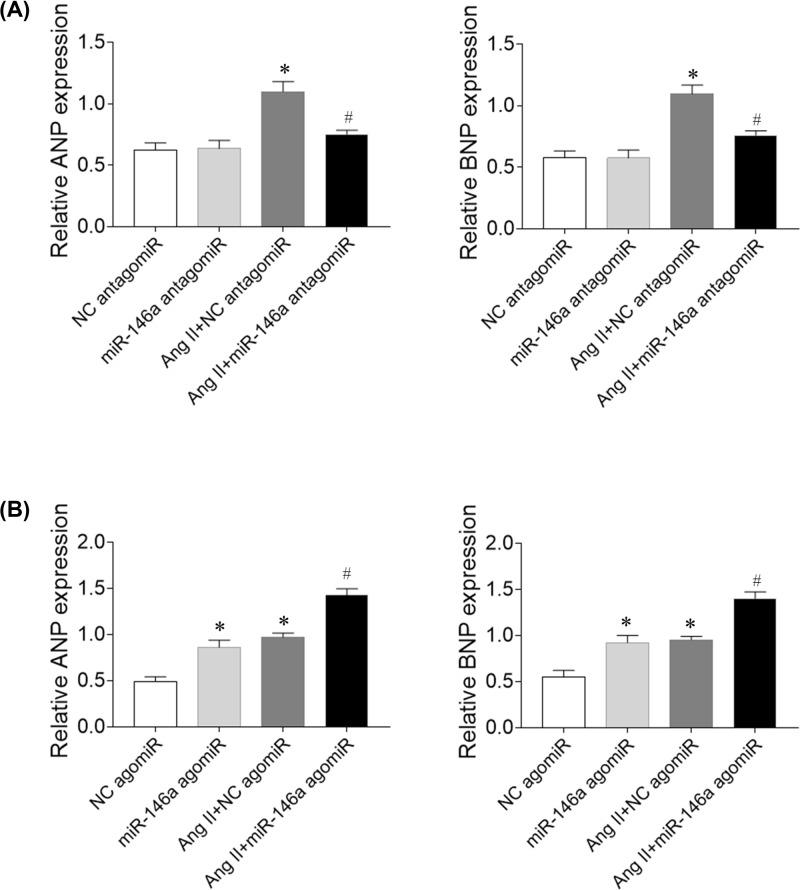 https://cdn.ncbi.nlm.nih.gov/pmc/blobs/1e02/6928527/c1016b53c195/bsr-39-bsr20191732-g5.jpg