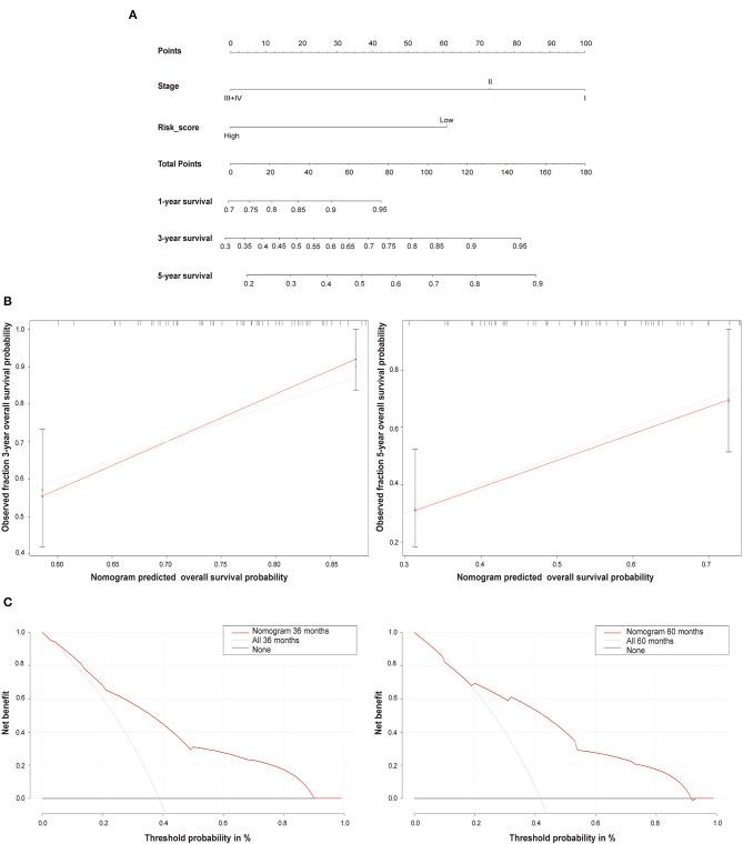 https://cdn.ncbi.nlm.nih.gov/pmc/blobs/1e02/7877483/c1cf363a0645/fgene-11-580036-g0006.jpg