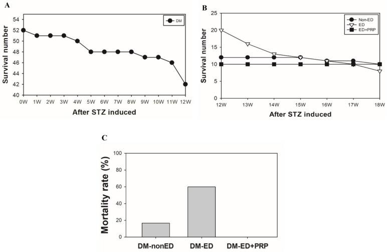 https://cdn.ncbi.nlm.nih.gov/pmc/blobs/1e06/8948834/c647402fe805/ijms-23-03017-g002.jpg