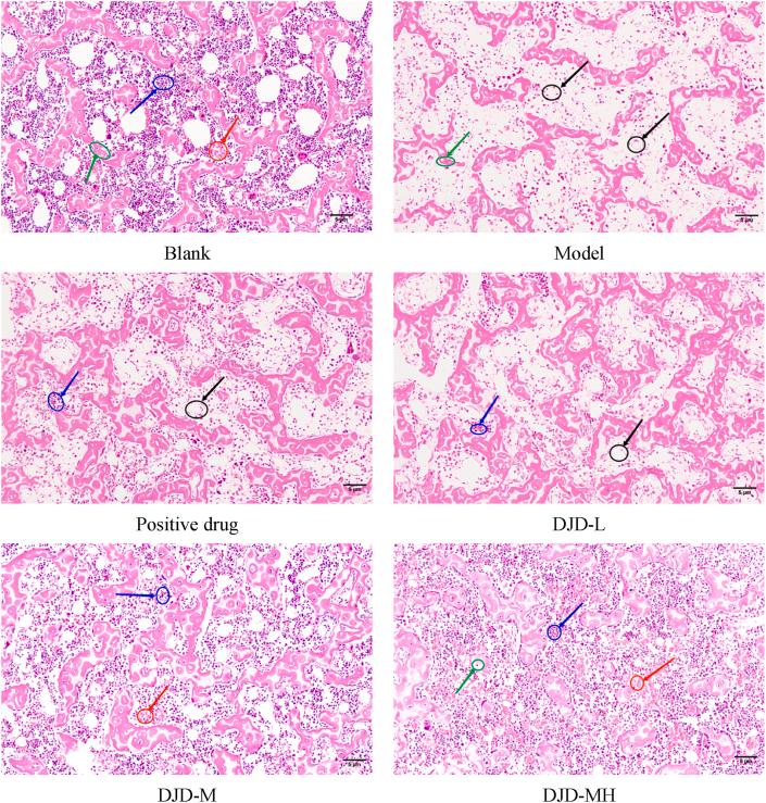 https://cdn.ncbi.nlm.nih.gov/pmc/blobs/1e07/10837499/5884733987df/gr6.jpg
