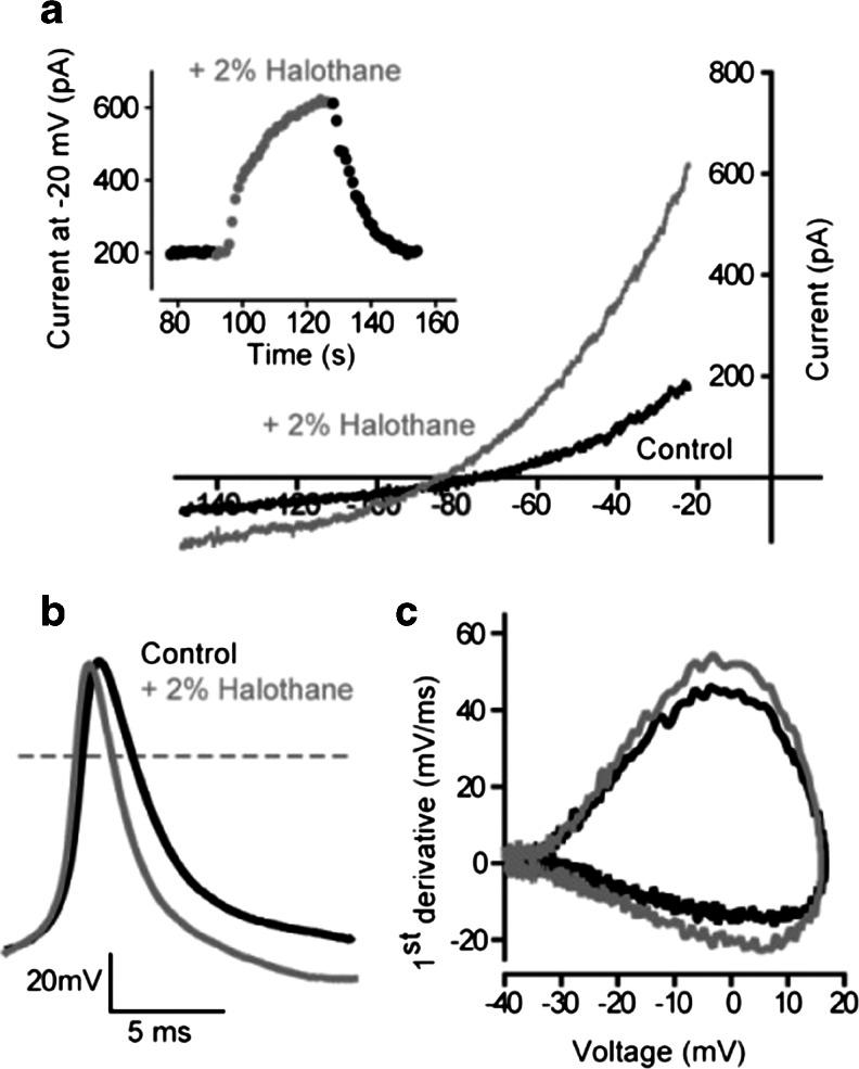 https://cdn.ncbi.nlm.nih.gov/pmc/blobs/1e08/4428809/2ffd21e52db3/424_2014_1660_Fig6_HTML.jpg
