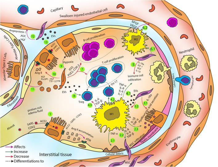 https://cdn.ncbi.nlm.nih.gov/pmc/blobs/1e08/7799400/b81942cee705/12015_2020_10109_Fig1_HTML.jpg