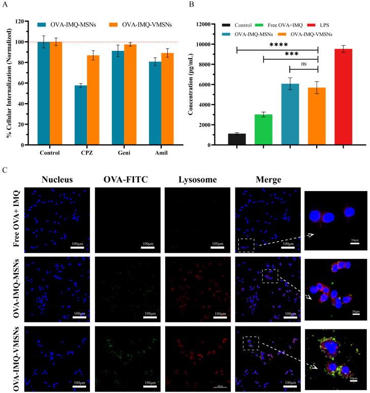 https://cdn.ncbi.nlm.nih.gov/pmc/blobs/1e09/9980018/691f986e7d72/IDRD_A_2183814_F0006_C.jpg