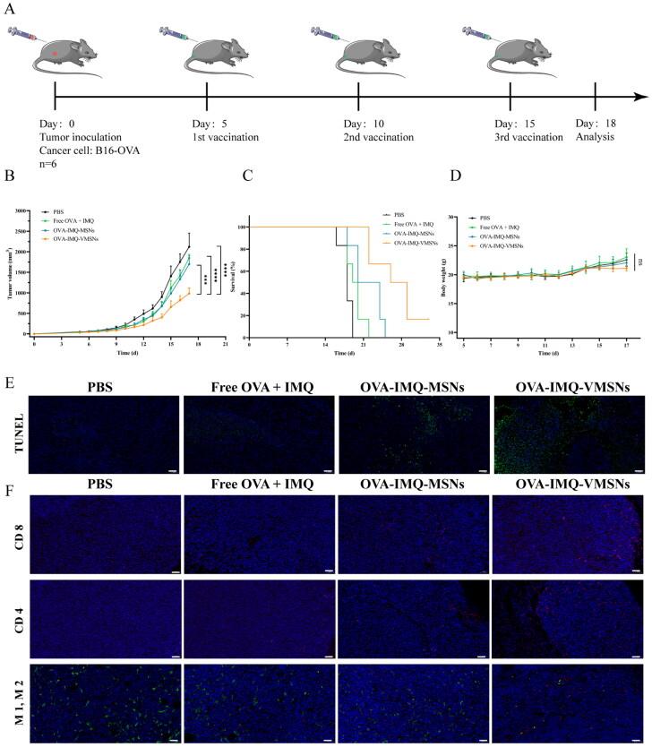 https://cdn.ncbi.nlm.nih.gov/pmc/blobs/1e09/9980018/868fbd573190/IDRD_A_2183814_F0007_C.jpg
