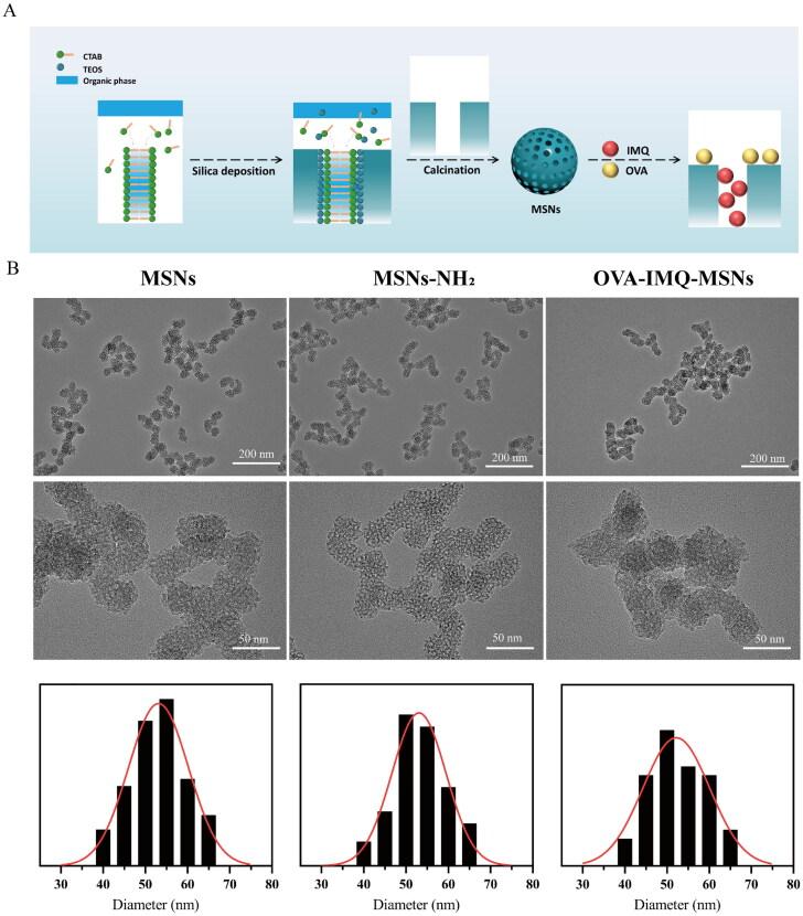 https://cdn.ncbi.nlm.nih.gov/pmc/blobs/1e09/9980018/97fdbfff77ee/IDRD_A_2183814_F0002_C.jpg