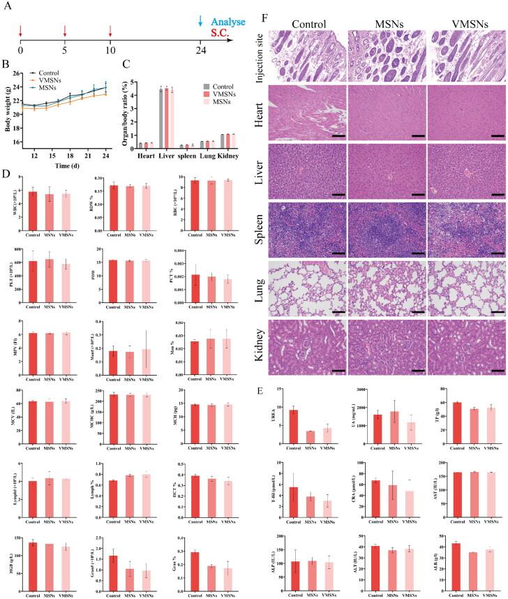 https://cdn.ncbi.nlm.nih.gov/pmc/blobs/1e09/9980018/a44dc5ecd435/IDRD_A_2183814_F0009_C.jpg
