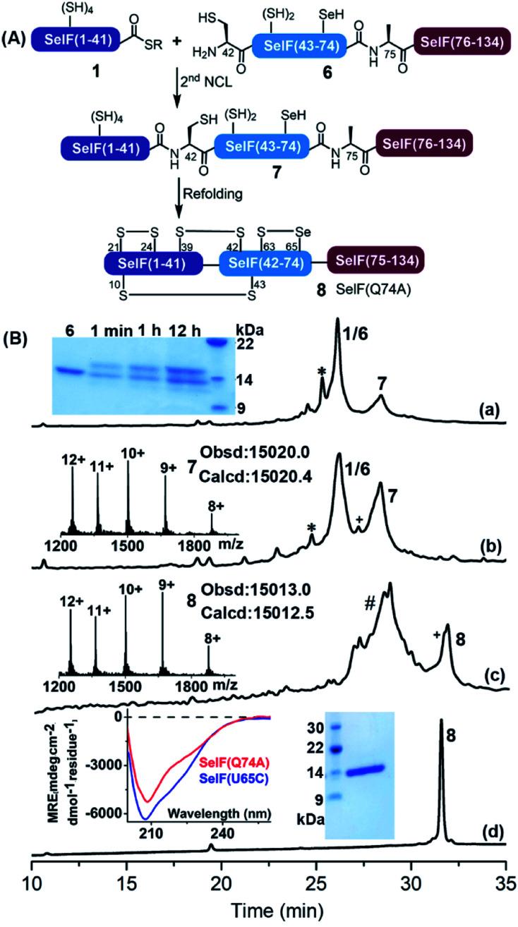 https://cdn.ncbi.nlm.nih.gov/pmc/blobs/1e0a/9159075/3dbb8a0d2305/d2sc00492e-f3.jpg