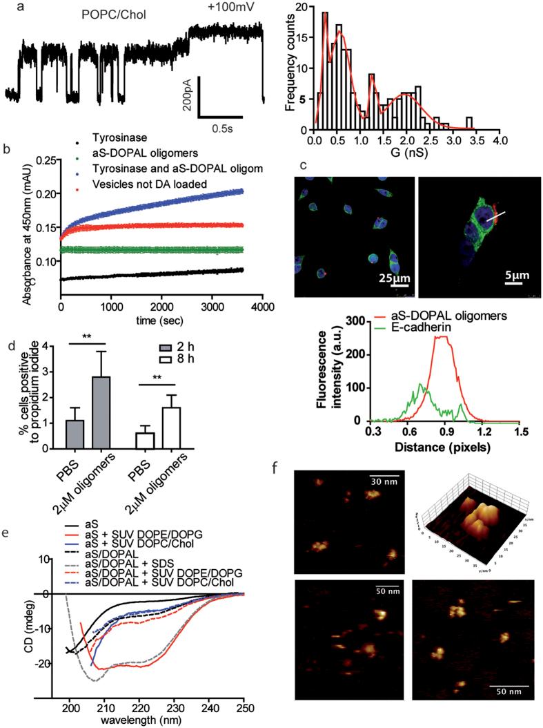 https://cdn.ncbi.nlm.nih.gov/pmc/blobs/1e0b/5233976/898b51588021/srep40699-f6.jpg