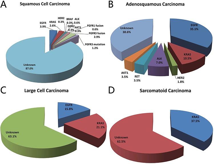https://cdn.ncbi.nlm.nih.gov/pmc/blobs/1e0c/4741453/98d85b65b272/oncotarget-06-34300-g002.jpg