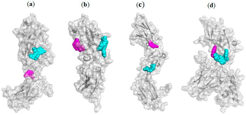 https://cdn.ncbi.nlm.nih.gov/pmc/blobs/1e0d/12347447/b68399ea86aa/ijms-26-07290-g002.jpg