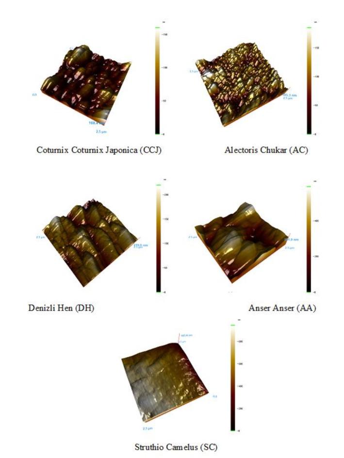 https://cdn.ncbi.nlm.nih.gov/pmc/blobs/1e0e/11842804/813fb5040374/41598_2025_87786_Fig5_HTML.jpg