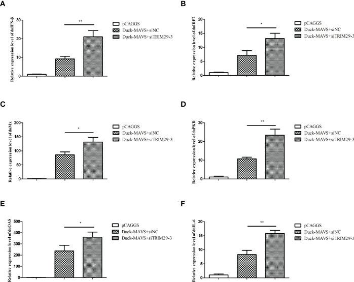 https://cdn.ncbi.nlm.nih.gov/pmc/blobs/1e0e/9853200/27cd61242337/fimmu-13-1016214-g006.jpg