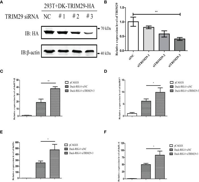 https://cdn.ncbi.nlm.nih.gov/pmc/blobs/1e0e/9853200/83e50395a101/fimmu-13-1016214-g004.jpg
