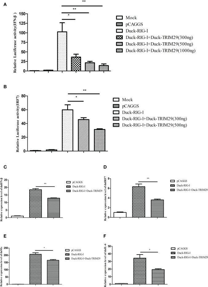 https://cdn.ncbi.nlm.nih.gov/pmc/blobs/1e0e/9853200/a22aaf481afc/fimmu-13-1016214-g003.jpg