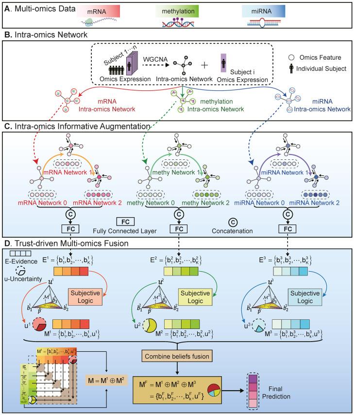 https://cdn.ncbi.nlm.nih.gov/pmc/blobs/1e0f/10855161/e59ab4a480a6/ijms-25-01655-g003.jpg