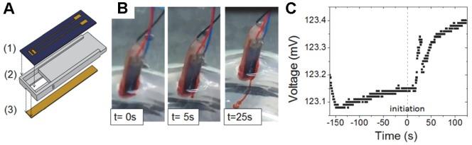 https://cdn.ncbi.nlm.nih.gov/pmc/blobs/1e0f/3933680/259302f286eb/pone.0089903.g004.jpg