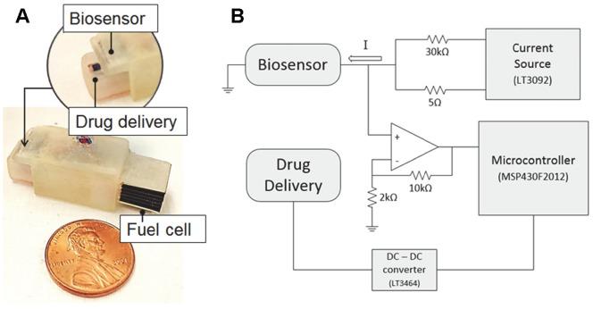 https://cdn.ncbi.nlm.nih.gov/pmc/blobs/1e0f/3933680/572fd9f06364/pone.0089903.g001.jpg