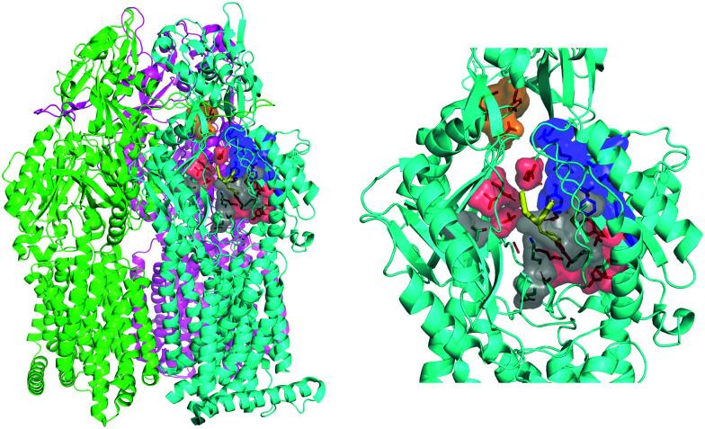 https://cdn.ncbi.nlm.nih.gov/pmc/blobs/1e0f/9278589/233a39b42d11/d2cp00951j-f2.jpg