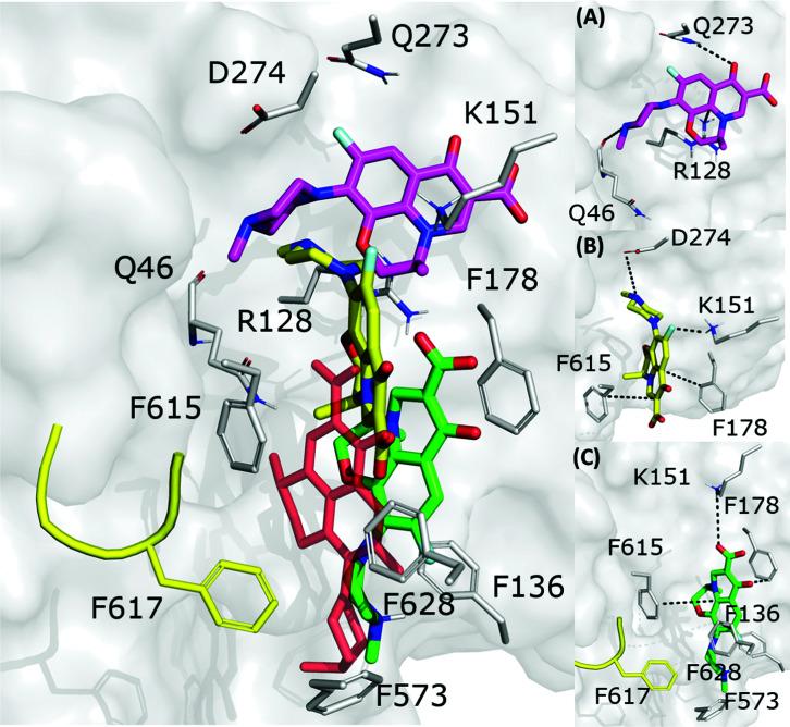 https://cdn.ncbi.nlm.nih.gov/pmc/blobs/1e0f/9278589/bd73e4d7f2c8/d2cp00951j-f6.jpg