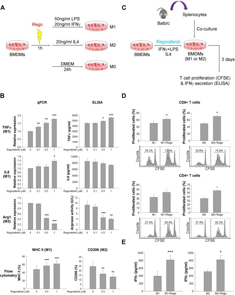 https://cdn.ncbi.nlm.nih.gov/pmc/blobs/1e11/7986673/018a094aea6f/jitc-2020-001657f03.jpg