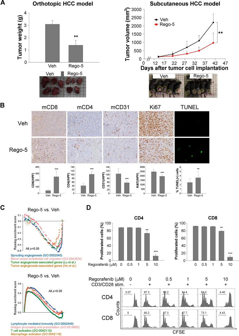 https://cdn.ncbi.nlm.nih.gov/pmc/blobs/1e11/7986673/307eff0d9a31/jitc-2020-001657f01.jpg