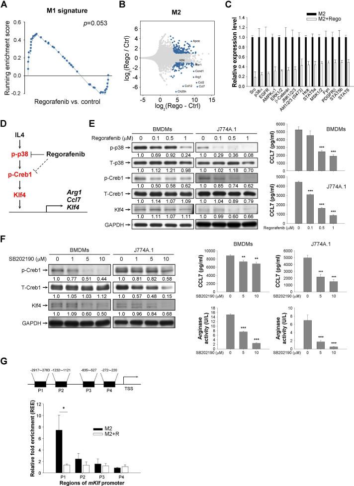 https://cdn.ncbi.nlm.nih.gov/pmc/blobs/1e11/7986673/3fa4351ad95c/jitc-2020-001657f04.jpg