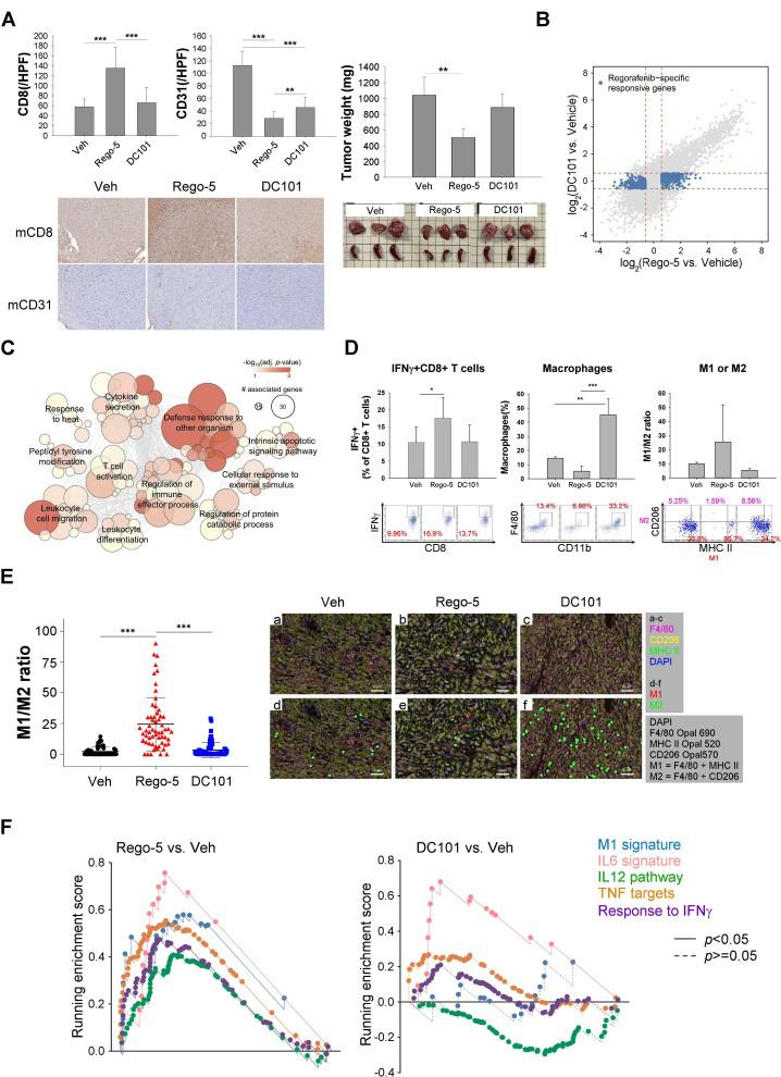 https://cdn.ncbi.nlm.nih.gov/pmc/blobs/1e11/7986673/4a5e02c40ec6/jitc-2020-001657f02.jpg