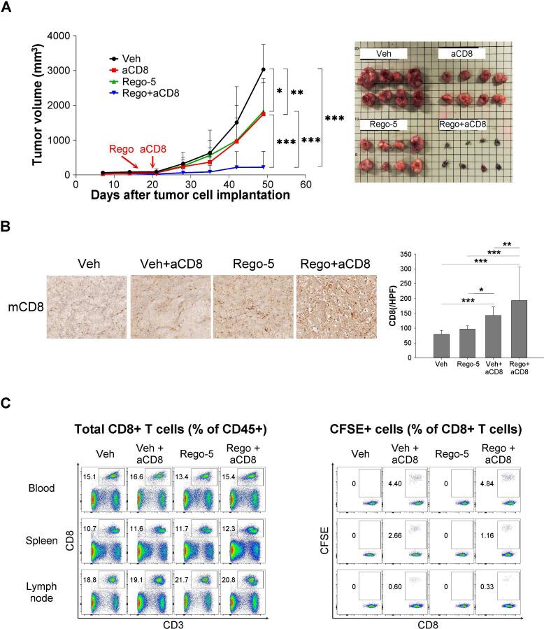 https://cdn.ncbi.nlm.nih.gov/pmc/blobs/1e11/7986673/7341b4b761d5/jitc-2020-001657f05.jpg