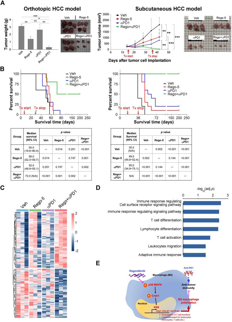https://cdn.ncbi.nlm.nih.gov/pmc/blobs/1e11/7986673/ab9dd6c292b0/jitc-2020-001657f06.jpg
