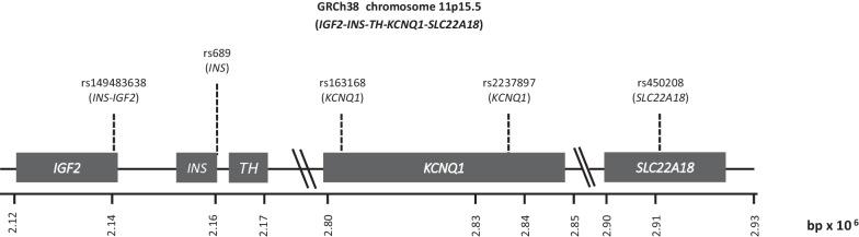 https://cdn.ncbi.nlm.nih.gov/pmc/blobs/1e13/10251612/82d12bcf2ba0/13293_2023_521_Fig1_HTML.jpg