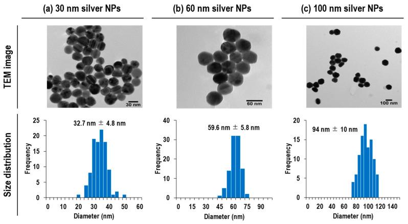 https://cdn.ncbi.nlm.nih.gov/pmc/blobs/1e13/10343304/ee0d6dd4d98b/nanomaterials-13-01958-g001.jpg