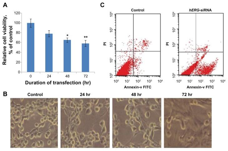 https://cdn.ncbi.nlm.nih.gov/pmc/blobs/1e13/3615931/9accc913800e/ijn-8-1293f6.jpg