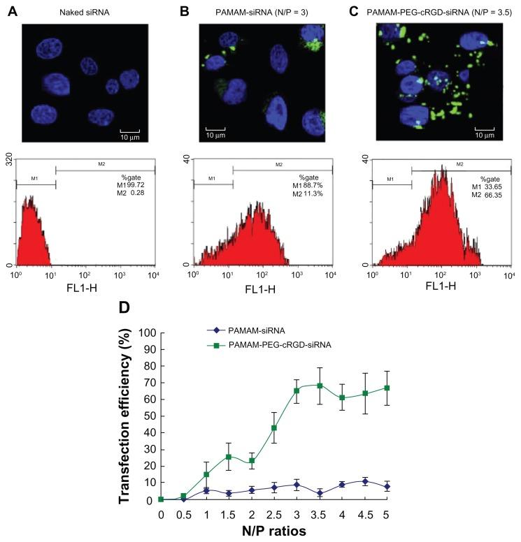 https://cdn.ncbi.nlm.nih.gov/pmc/blobs/1e13/3615931/b35f2eb63f8a/ijn-8-1293f4.jpg