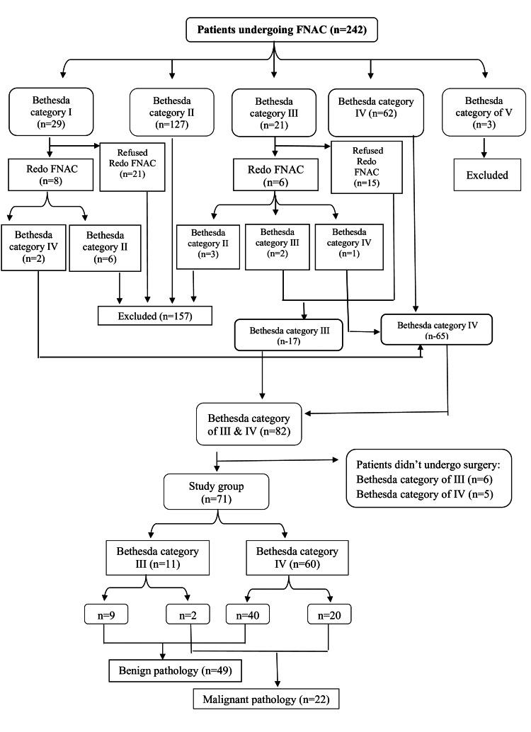 https://cdn.ncbi.nlm.nih.gov/pmc/blobs/1e15/11779563/baee272c62e6/cureus-0016-00000076615-i01.jpg