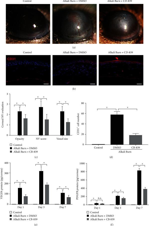 https://cdn.ncbi.nlm.nih.gov/pmc/blobs/1e15/8957416/2b37f50ff10e/OMCL2022-1106313.006.jpg