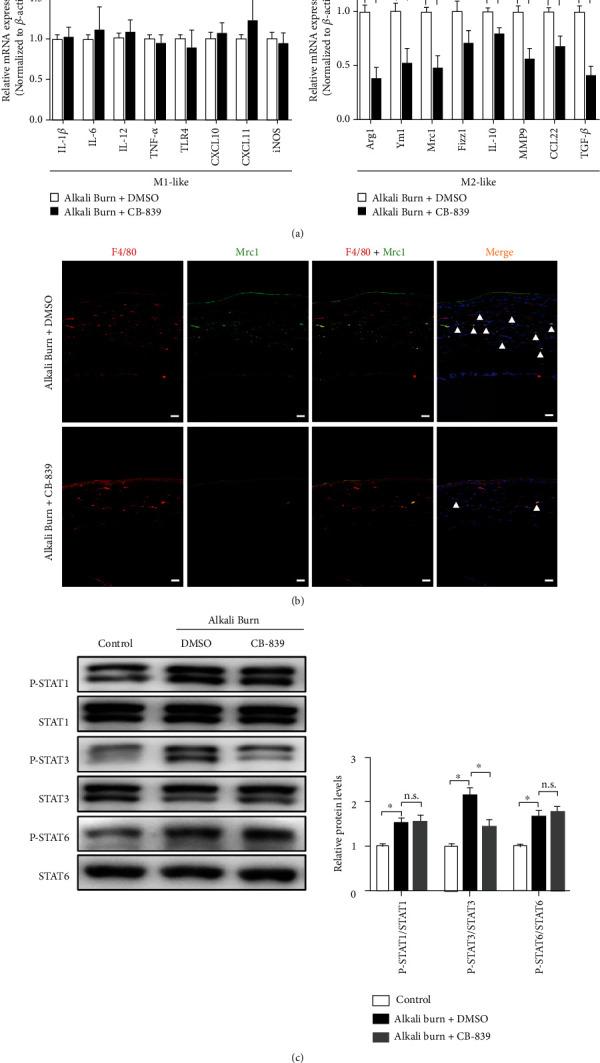 https://cdn.ncbi.nlm.nih.gov/pmc/blobs/1e15/8957416/d79d3e44da84/OMCL2022-1106313.005.jpg