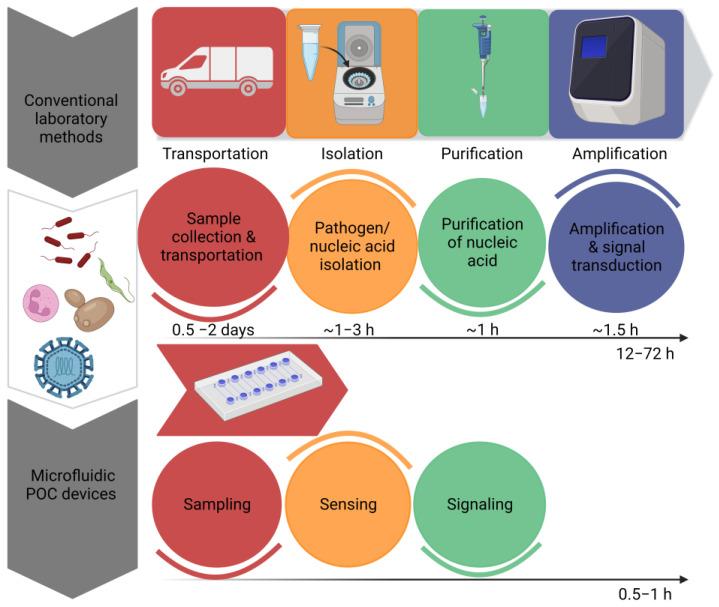 https://cdn.ncbi.nlm.nih.gov/pmc/blobs/1e17/10296372/210d4a245698/biosensors-13-00584-g001.jpg