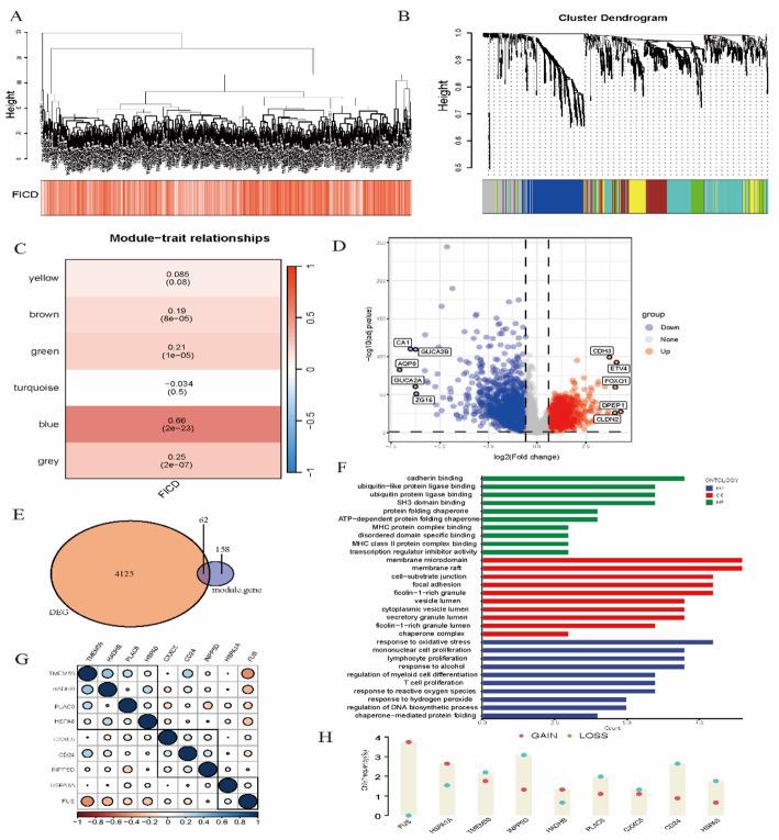 https://cdn.ncbi.nlm.nih.gov/pmc/blobs/1e18/12240883/432f594017b4/12672_2025_3147_Fig2_HTML.jpg