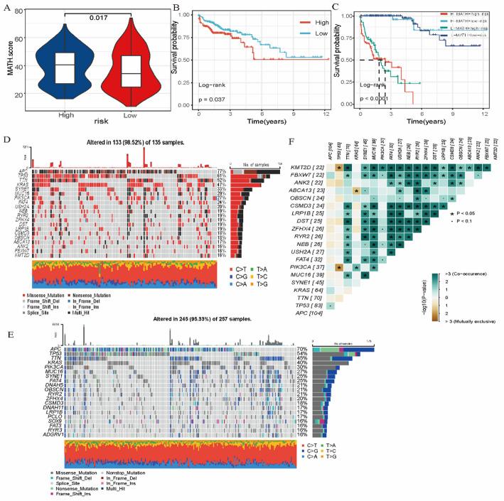 https://cdn.ncbi.nlm.nih.gov/pmc/blobs/1e18/12240883/f9f7888fadc2/12672_2025_3147_Fig6_HTML.jpg