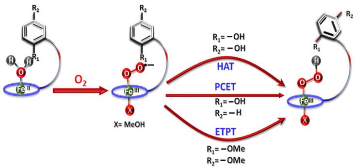 https://cdn.ncbi.nlm.nih.gov/pmc/blobs/1e19/11643590/18d328356264/molecules-29-05655-g017.jpg