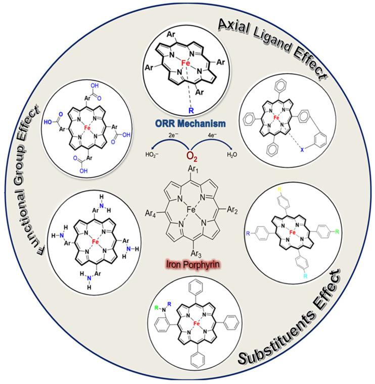 https://cdn.ncbi.nlm.nih.gov/pmc/blobs/1e19/11643590/bf6a566a6f86/molecules-29-05655-g002.jpg