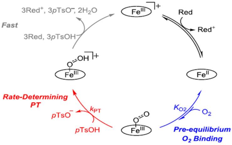 https://cdn.ncbi.nlm.nih.gov/pmc/blobs/1e19/11643590/e310ce1c9163/molecules-29-05655-g005.jpg